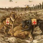 The Role of Animals in Military History