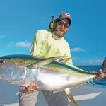 Yellowfin Tuna: The Swift and Versatile Predator of the Seas