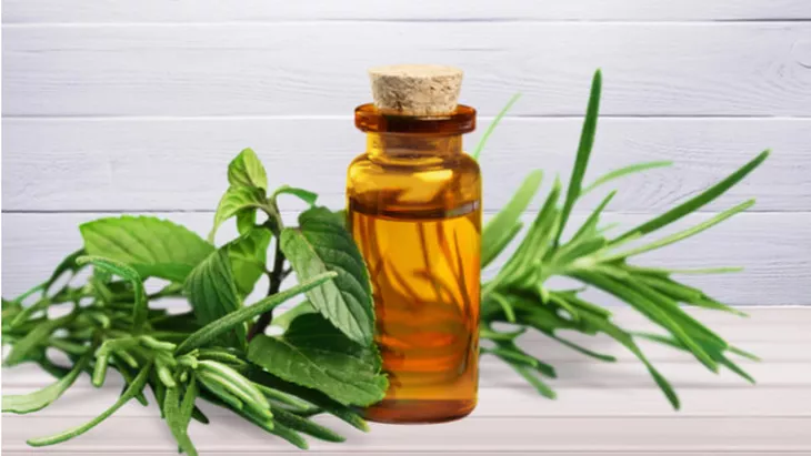 Tea Tree Oil  