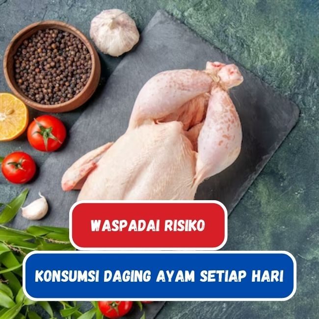 Studi Terbaru