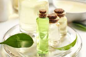 You are currently viewing Tea Tree Oil dan Jerawat Awal Mula Pertemuan yang Ajaib