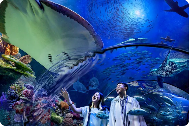 SeaWorld