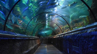 SeaWorld