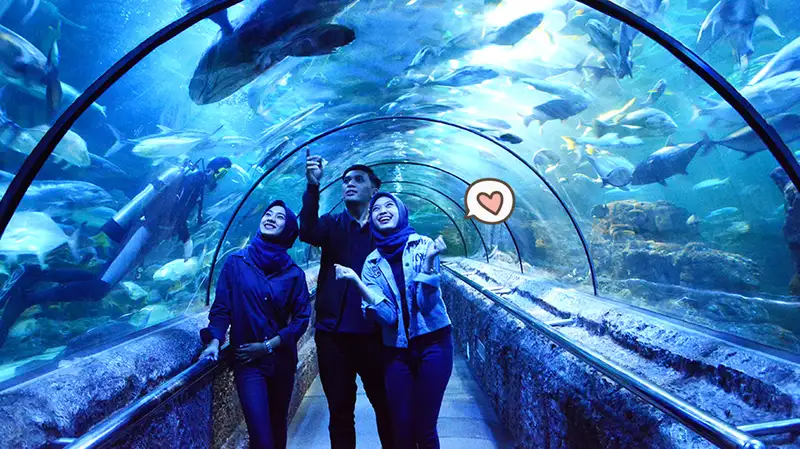 SeaWorld
