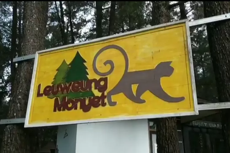 You are currently viewing Leuweung Monyet Cibeureum: Surga Tersembunyi di Tanah Sunda