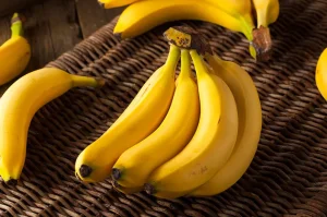 Read more about the article Panen Pisang Cavendish: Panduan Lengkap dari Persiapan Hingga Hasil Maksimal