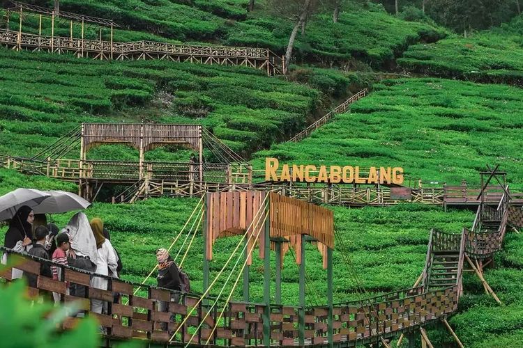 You are currently viewing Bukit Jamur Ciwidey: Surga Tersembunyi di Selatan Bandung