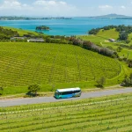 Pesona Pulau Waiheke: Surga Tropis Tersembunyi di Selandia Baru