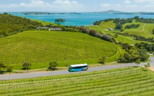 Read more about the article Pesona Pulau Waiheke: Surga Tropis Tersembunyi di Selandia Baru