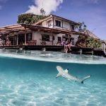 Menilik Surga Tersembunyi: Kemewahan Autentik Misool Eco Resort