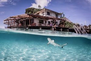 Read more about the article Menilik Surga Tersembunyi: Kemewahan Autentik Misool Eco Resort